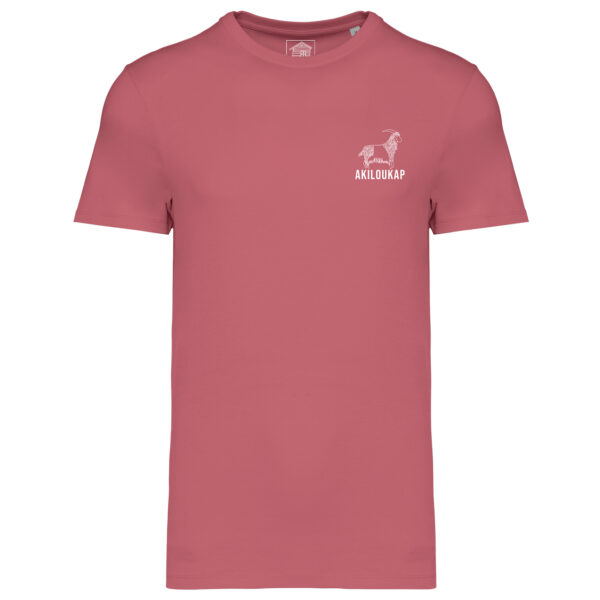 T-Shirt Pittik